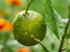 How to ask for second chance How to ask for second chance