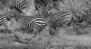 How to tell someone you’re scared of getting hurt How to tell someone you’re scared of getting hurt