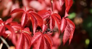 How to lose your virginity in your 20s How to lose your virginity in your 20s