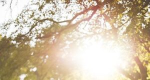 How to beg for sex How to beg for sex