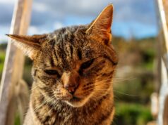 How to seem unbothered How to seem unbothered