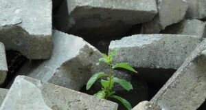 How to ask for a second chance by text How to ask for a second chance by text