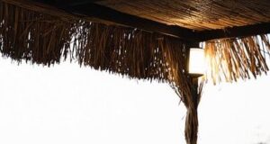 How to tell someone you dont want a second date How to tell someone you dont want a second date