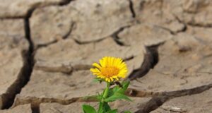 How to be content being single How to be content being single