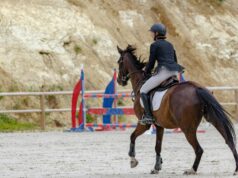 How to detach from outcomes How to detach from outcomes