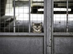 How to be patience in a relationship How to be patience in a relationship