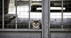 How to be patience in a relationship How to be patience in a relationship