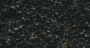 How to make a man respect you How to make a man respect you