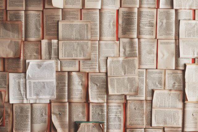 How to be a good housewife book