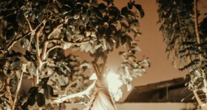 How to lose a girlfriend How to lose a girlfriend