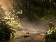 How to get over a summer fling How to get over a summer fling