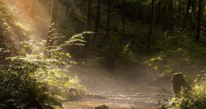 How to get over a summer fling How to get over a summer fling