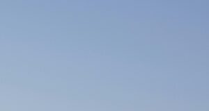 How to get armed security guard license in texas How to get armed security guard license in texas