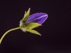 How to meet single guys How to meet single guys