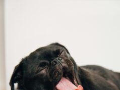 How to sell mattresses How to sell mattresses