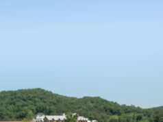 How to let a man lead in a relationship How to let a man lead in a relationship