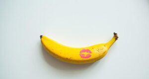 How to beg sex How to beg sex