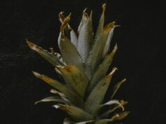 How to reset ac after a power outage How to reset ac after a power outage