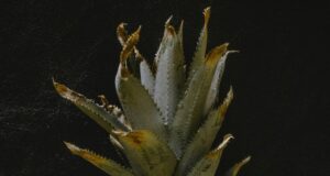 How to reset ac after a power outage How to reset ac after a power outage