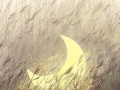 How to block your number on the iphone How to block your number on the iphone