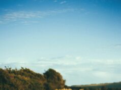 question to ask your best friend question to ask your best friend