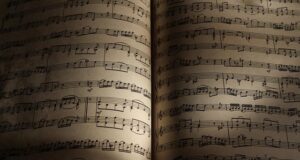 How often should you change your sheets How often should you change your sheets