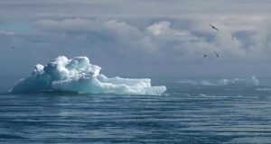 How to change your name on your iphone How to change your name on your iphone