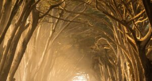 How to find your life path number How to find your life path number