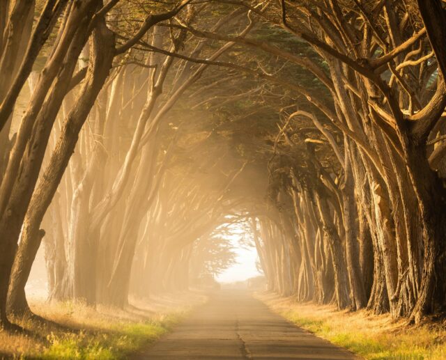 How to find your life path number