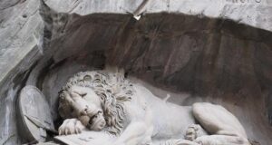 signs that your dog is about to die signs that your dog is about to die