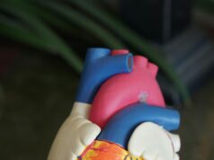 How to boost your immunity system How to boost your immunity system