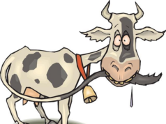 How to stop drooling in your sleep How to stop drooling in your sleep