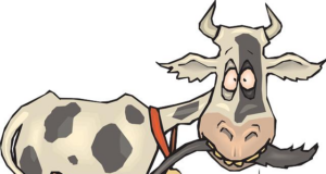 How to stop drooling in your sleep How to stop drooling in your sleep